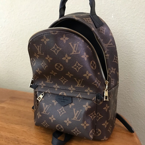 Louis Vutton Mongram Palm Springs backpack PM